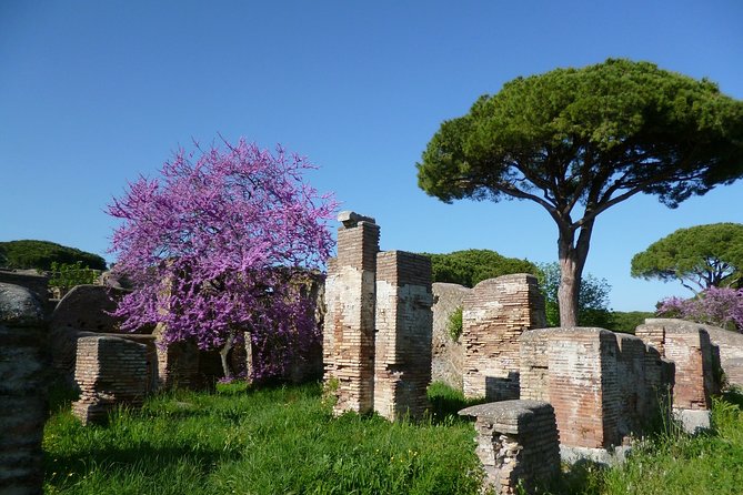 All-included Guided Tour of Ancient Ostia from Rome with Hotel Pickup & Drop Off - Who this tour suits best