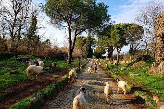 Ancient Appian Way and Roman Countryside E-Bike Tour - Price and value for a 4-hour active Roman history fix