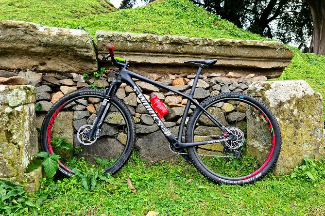 Ancient Appian Way and Roman Countryside E-Bike Tour - Should you book the Ancient Appian Way e-bike tour?