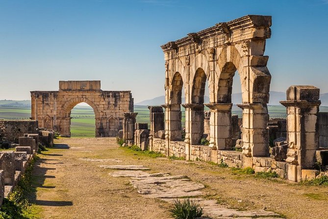 Ancient Ostia from Rome: Archaeology & History, Semi-Private Tour - Neptune’s Baths Mosaic: The Visual Stop You’ll Remember