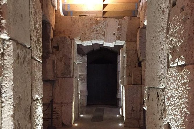 Ancient Rome and Colosseum Private Tour with Underground Chambers and Arena - Roman Forum: the power center, explained while you stand in place