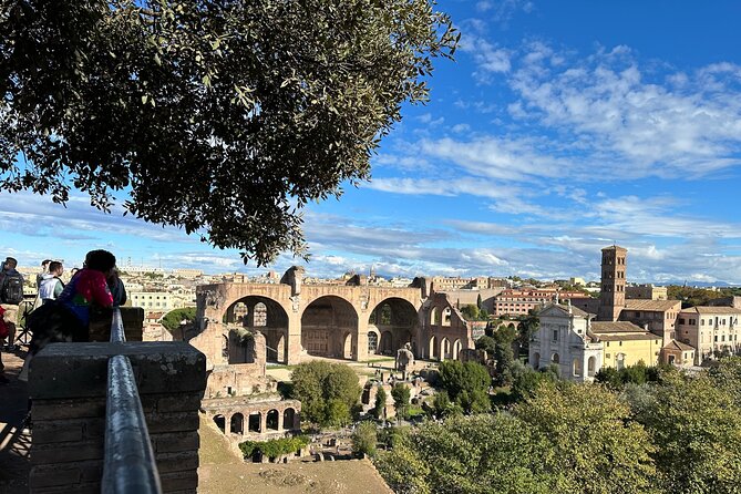 Ancient Rome Discovery: Colosseum, Forum, Palatine Guided Tour - Palatine Hill Finish: Imperial Living and Big Views