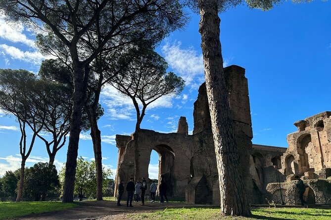 Ancient Rome Discovery: Colosseum, Forum, Palatine Guided Tour - Price and Value: What $156 Buys You in Real Life