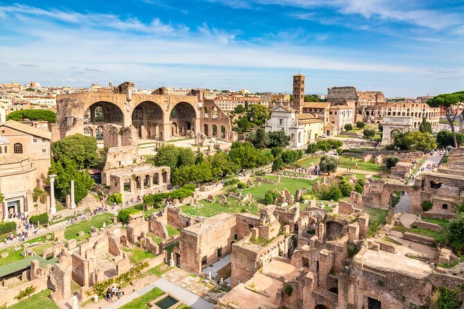 Ancient Rome Guided Tour: Colosseum, Forum and Palatine - Price and value: what $71.65 really covers