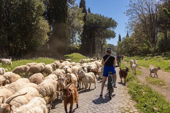 Appian Way Aqueducts Extended E-Bike & Food Adventure -45kms - Price and value: what $215.54 includes for a 6-hour e-bike day