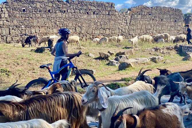 Appian Way & Aqueducts small group e-bike tour(catacombs & food) - Fonte Acqua Egeria and Mercato di Campagna Amica: the food stop feels like Rome, not a tourist detour