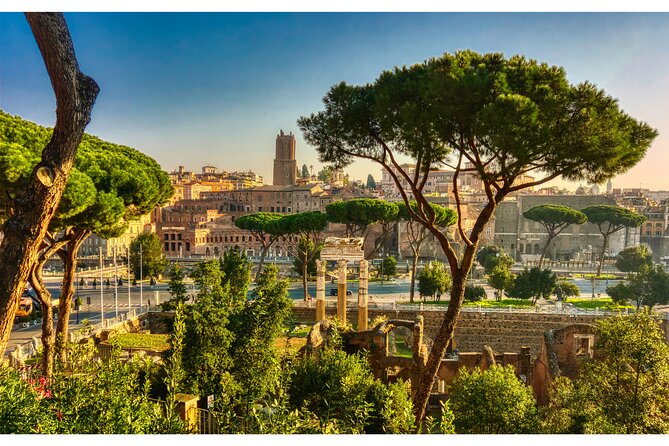 Best of Rome - Citta del Vaticano: Plan for One Focused Hour at the Vatican