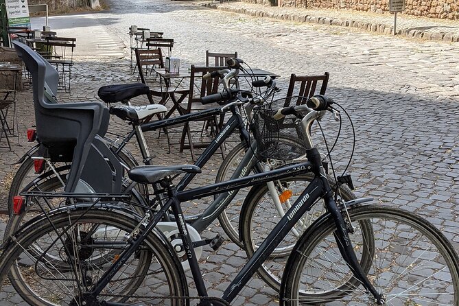 Bike Rental inside Appian Way Regional Park - Road conditions: cobbles, rocks, and how to stay comfortable