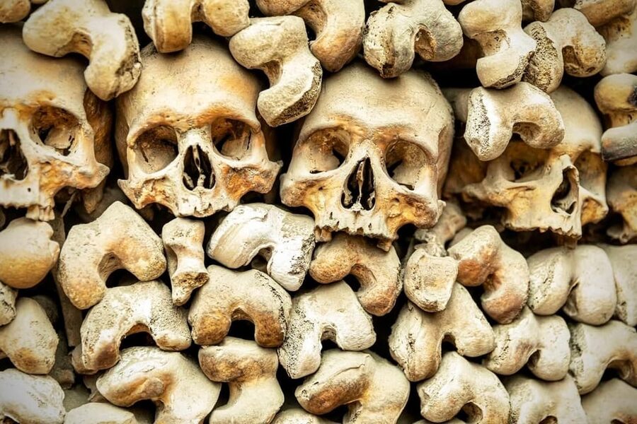 Bone Crypts & S. Clemente ENGLISH tour - tickets included - Capuchin Crypts: Bones, Layout, and What to Notice