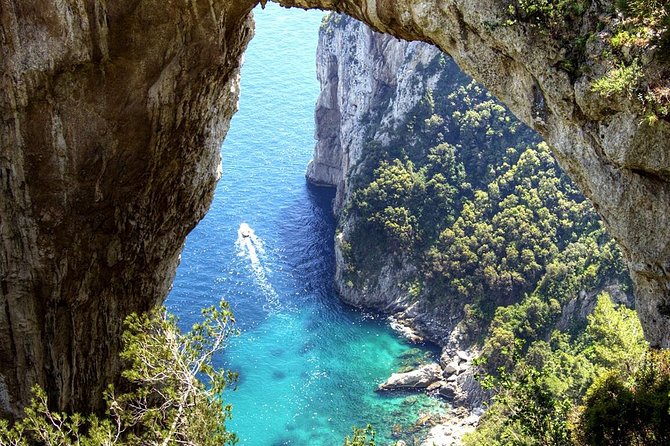 Capri Day Trip from Rome by Bus & Ferry – Guided or Independent - Price and value: is $209.07 worth it?