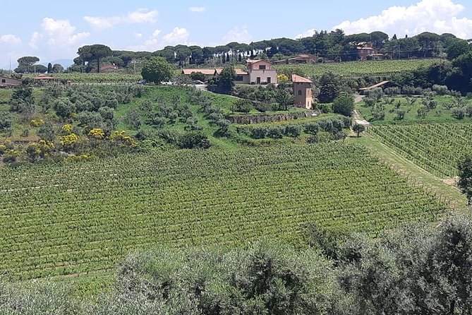 Castelli Romani wine Tour - Castelli Romani in One Relaxing 7-Hour Block