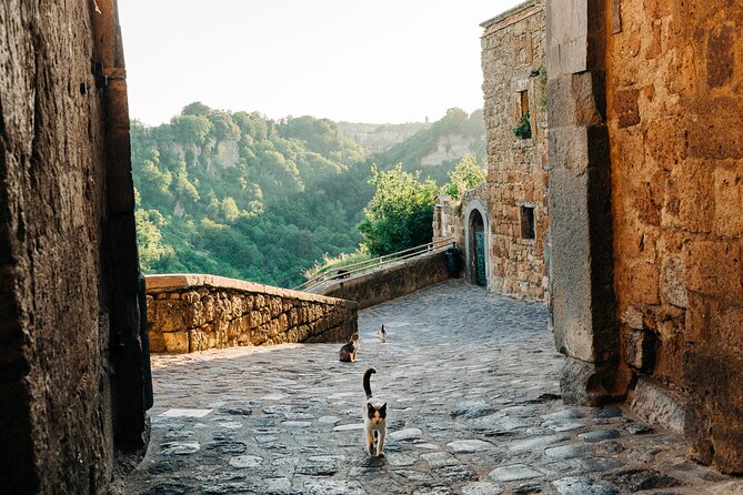 Civita di Bagnoregio and Orvieto - Private Day trip from Rome - Getting from Rome: the morning logistics you’ll feel