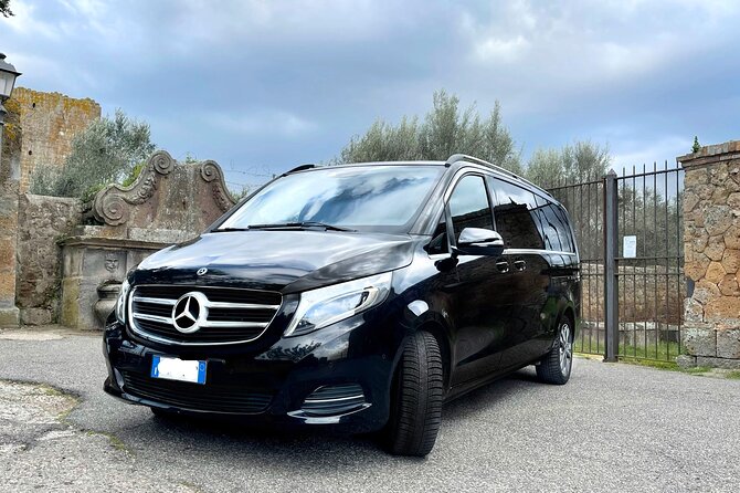 Civitavecchia Cruise Ship Port to Rome Hotel Private Transfer - Arrival in Rome: dropping you at the right doorstep