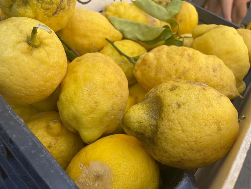 Civitavecchia: Historical and Culinary Walking Tour - What to bring, what to avoid, and how to get the most out of it