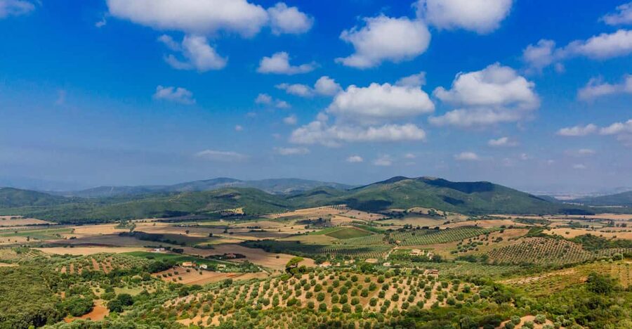 Civitavecchia: Tuscany Full-Day Guided Trip w/Wine Tasting - The Van Ride Through Maremma: Your First Taste of the Region
