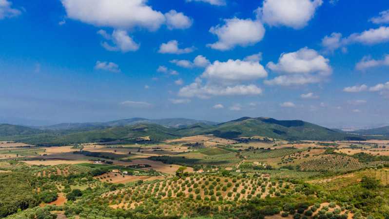 Civitavecchia: Tuscany Full-Day Guided Trip w/Wine Tasting - Getting Picked Up: The Civitavecchia Port Plan That Actually Makes Sense