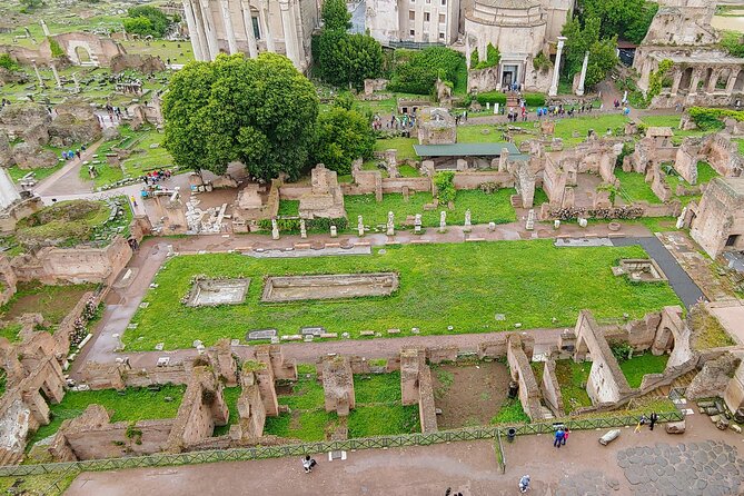 Colosseum & Ancient Rome Guided Walking Tour - The Roman Forum: Where Politics, Business, and Justice Played Out