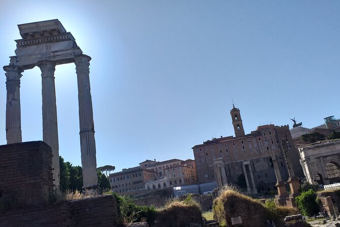Colosseum & Ancient Rome - Private Tour - Who This Private Colosseum, Forum, and Palatine Tour Fits Best