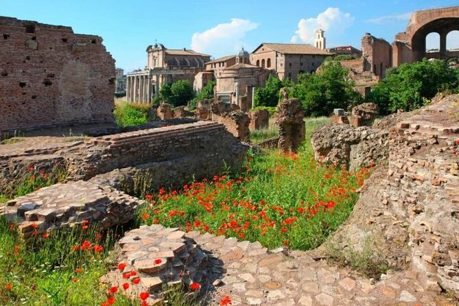 Colosseum & Ancient Rome Private: Women History Guided Tour - How to make it smoother: tickets, ID checks, and real-life timing