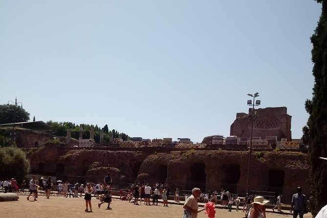Colosseum and Ancient Rome Express Tour - Roman Forum and Palatine Hill: ticket access with app audio (not a full guided slog)