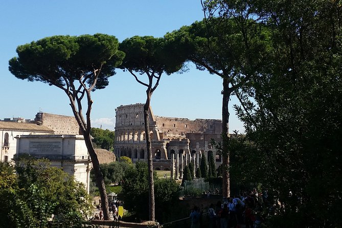 Colosseum and Roman Forum Private Tour led by an archaeologist - The private format, and why pace matters here