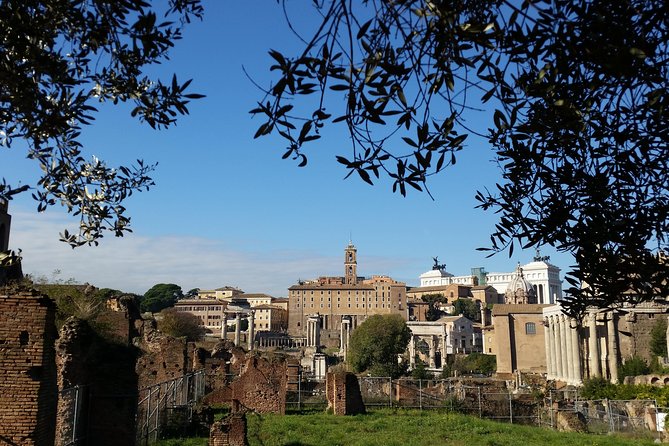 Colosseum and Roman Forum Private Tour led by an archaeologist - Price and value, not just a number