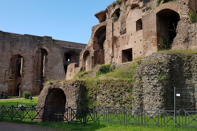 Colosseum Arena Floor Roman Forum and Palatine Hill Live Guide - Crowds, heat, and security checks: the realities you can’t skip