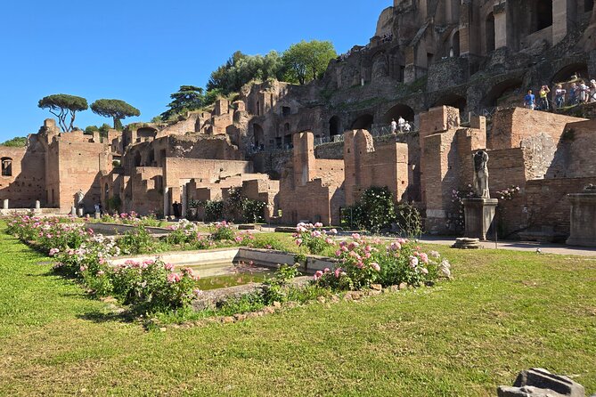 Colosseum Arena Floor, Roman Forum & Palatine Hill Guided Group Tour - Palatine Hill: 40 meters up, Augustus-era vibes, Circus Maximus views