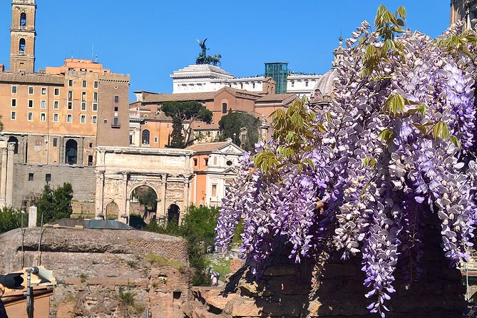 Colosseum en Forum Romanum in het Nederlands - Meeting at Largo Corrado Ricci and ending at the Colosseum