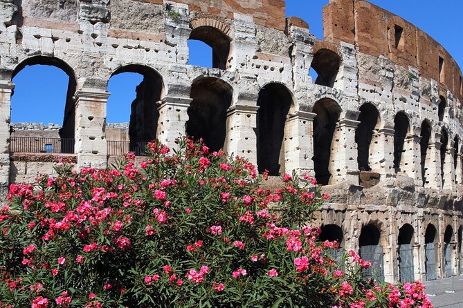 Colosseum Express Tour - Why the price can feel worth it, and when it might not
