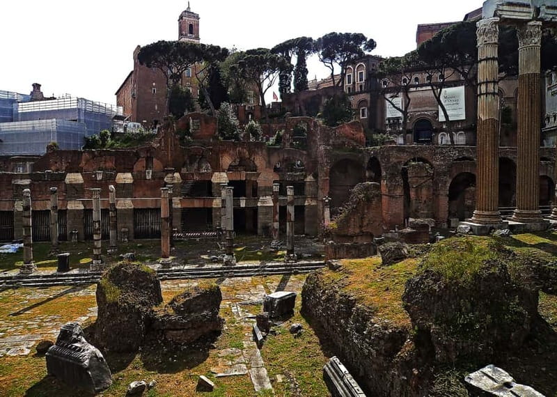 Colosseum, Forum & Palatine Hill Guided Walking tour - Palatine Hill: Myth, Imperial Residences, and Big City Views