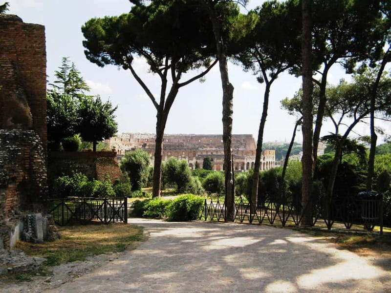 Colosseum, Forum & Palatine Hill Guided Walking tour - What’s Included, What’s Not, and How to Avoid Common Problems