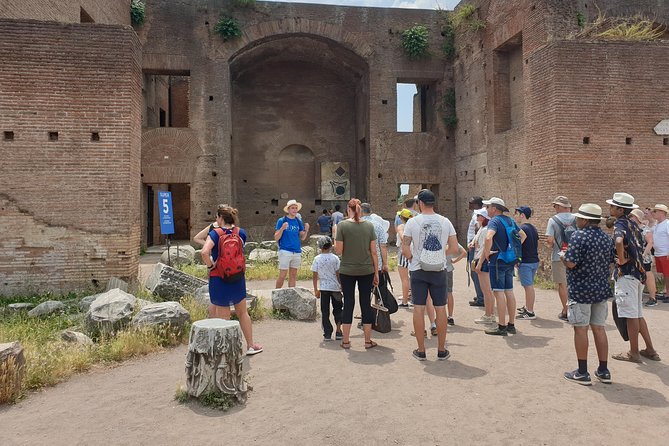 Colosseum, Palatine Hill and Roman Forum Expert Guided Tour - Roman Forum: the balcony perspective that changes everything