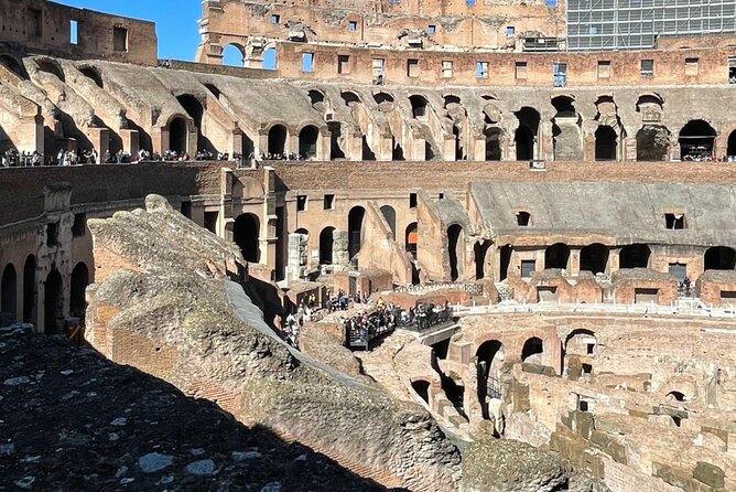 Colosseum, Palatine Hill and Roman Forum Guided Group Tour - Group size, pace, and handling the crowds