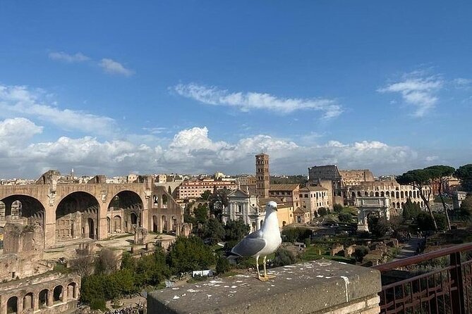 Colosseum, Roman Forum & Palatine Hill Admission With Audio Guide - Key Points You Should Know Before You Go