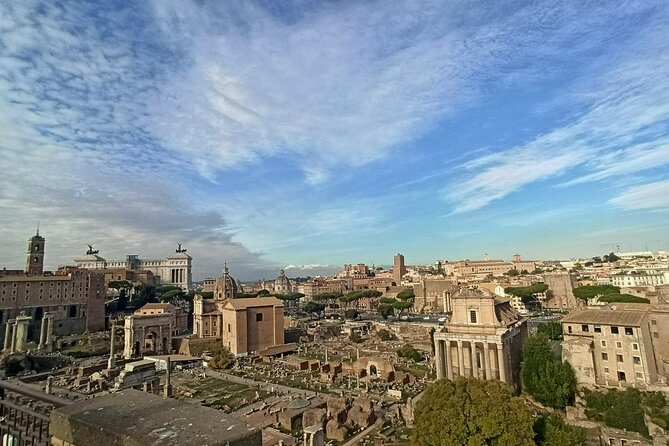 Colosseum, Roman Forum & Palatine Hill - Group Tour - Group Size, Pace, and Weather Reality in Rome