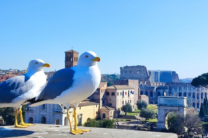 Colosseum, Roman Forum & Palatine Hill - Group Tour - Guaranteed Colosseum Access, and What That Actually Buys You