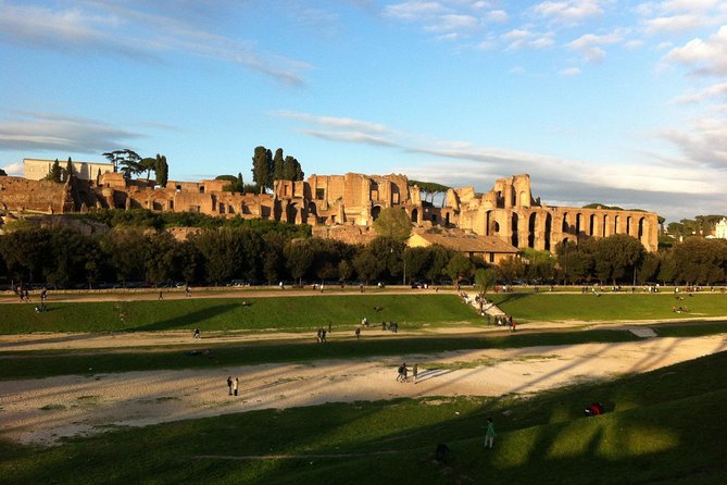 Colosseum, Roman Forum, Palatine Hill & Immersive Video - Palatine Hill Views You Can Photograph From