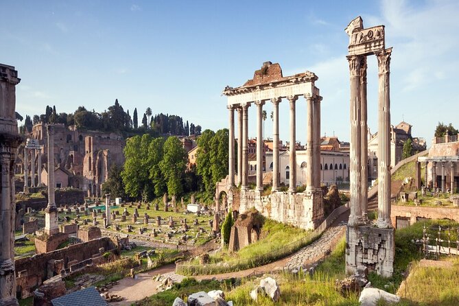 Colosseum, Vatican Museum, and Sistine Chapel Experience - Roman Forum and Palatine Hill: where everyday Rome used to live