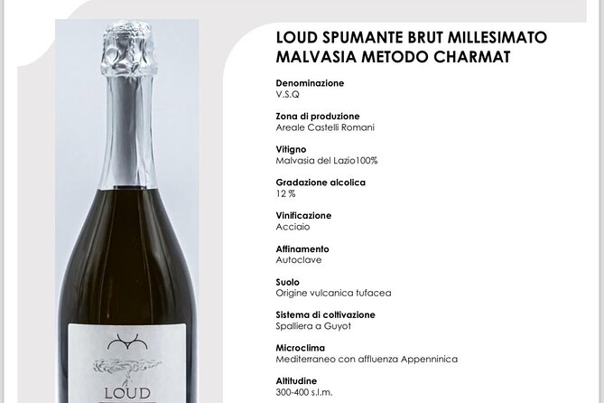 Course in Rome: Wine Education with Food - mini sommelier course - Should You Book It?