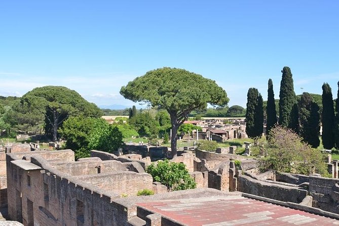Daily life in Ostia Antica (private tour) - Who This Private Ostia Antica Tour Is Best For