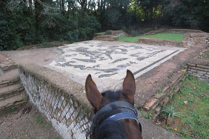 Daily out of Rome : Horseback ride with meals & wine included - From Rome to Simbruini: what kind of day this really is