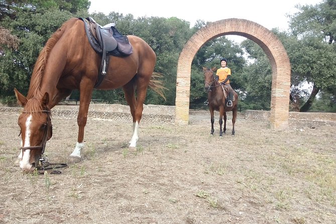 Daily out of Rome : Horseback ride with meals & wine included - The trail ride in Simbruini: wildlife, pacing, and what to expect