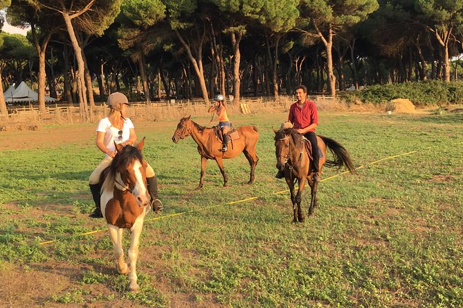 Daily out of Rome : Horseback ride with meals & wine included - Private tour feel: when a group format works best