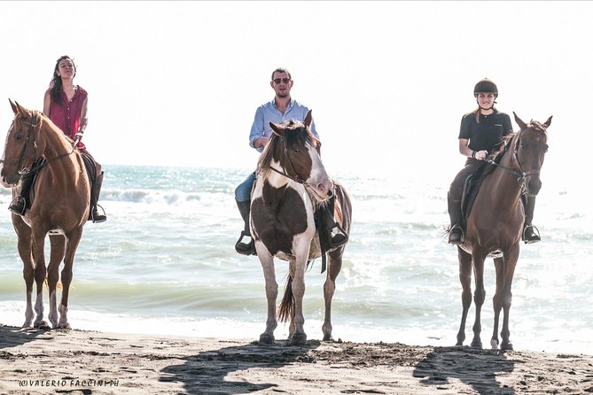 Daily out of Rome : Horseback ride with meals & wine included - Value and price: does $325.60 make sense for what you get?