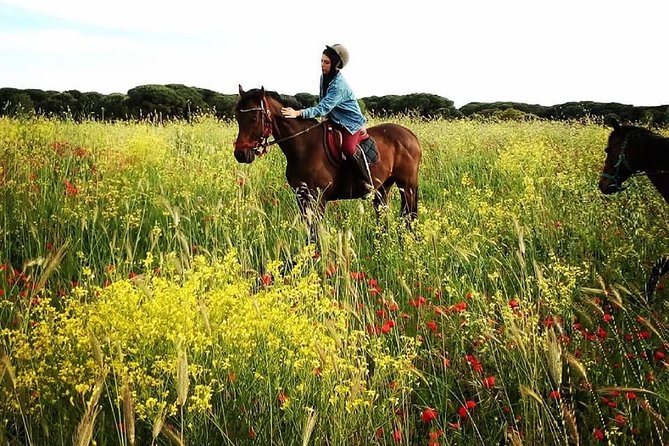 Daily out of Rome : Horseback ride with meals & wine included - Who should book this horseback ride (and who should think twice)