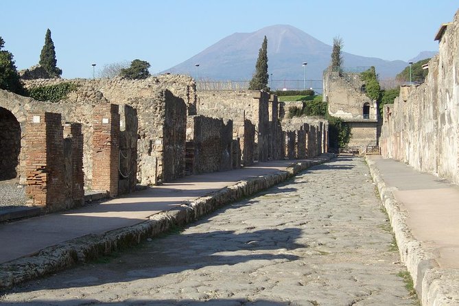 Day Trip to Pompeii, Positano and Amalfi Coast- Semi Private Tour - Rome Pickup and the AC Minivan Reality Check