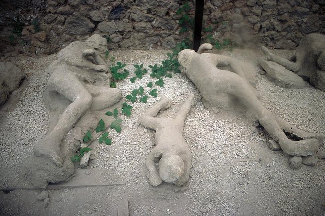 Daytrip from Rome to Pompeii and Amalfi Coast - Ercolano (Herculaneum) vs Pompeii: how to choose with your time