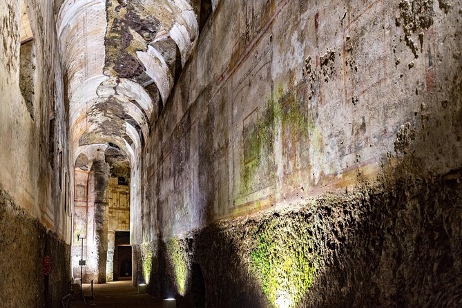 Domus Aurea Guided Tour: The Golden House of Nero - Your Guide Makes or Breaks the Experience