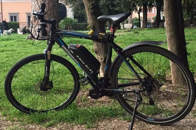 E-bike rental - Key Highlights at a Glance